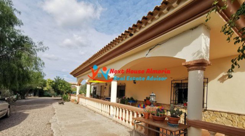 Almería - Los Gallardos - 10000m2