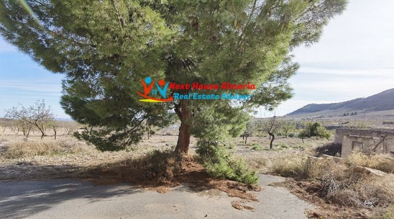 Almería - Oria - 9363m2
