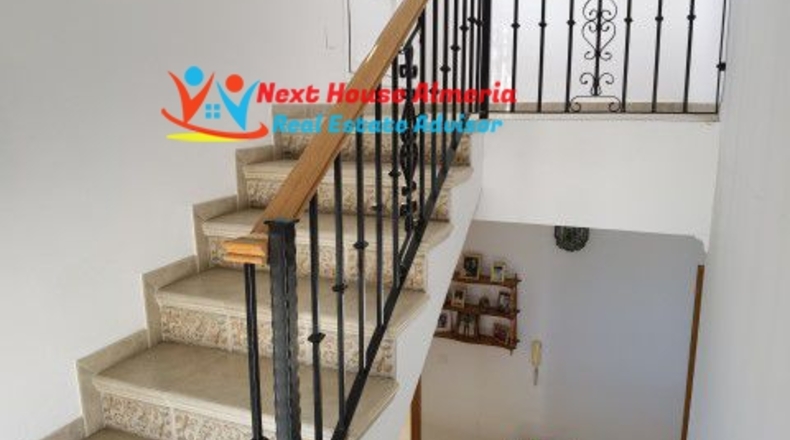Almería - Lubrín - 580m2
