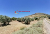 Sòl urbà en venda a Oria ref.: TR45714 foto
