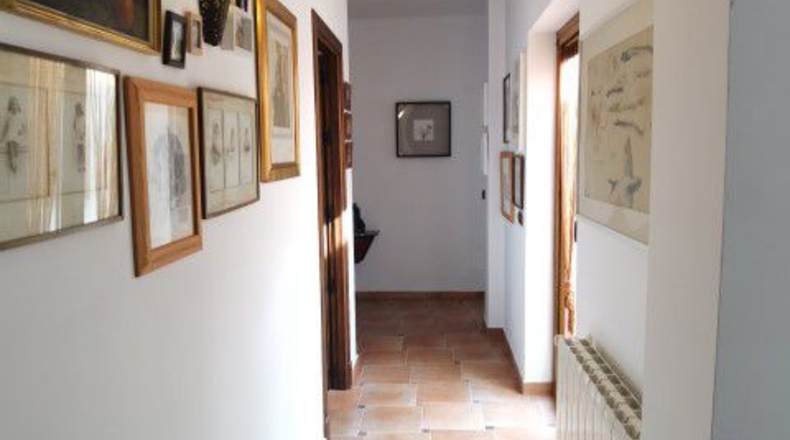 Almería - San Isidro de Níjar - 4939m2