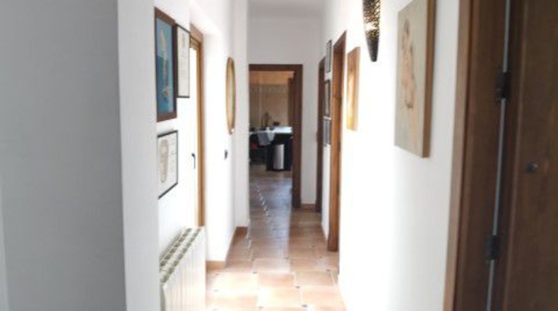 Almería - San Isidro de Níjar - 4939m2
