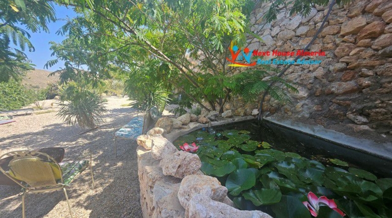 Almería - San Isidro de Níjar - 4939m2