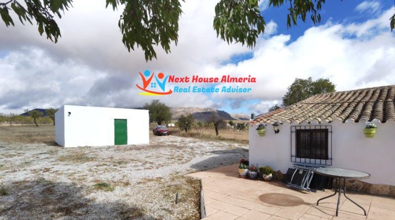 Almería - Chirivel - 1200m2