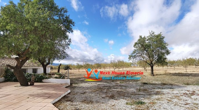Almería - Chirivel - 1200m2