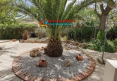 Casa de campo con terreno en venta en Cúllar ref: TR73507 foto