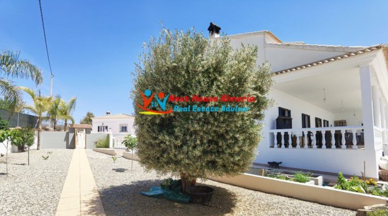 Almería - Albox - 2443m2