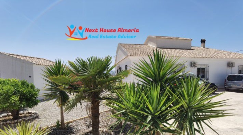 Almería - Albox - 2443m2