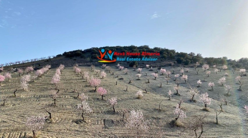 Almería - Taberno - 237200m2