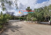 Casa de campo con terreno en venta en Águilas ref: TR75294 foto