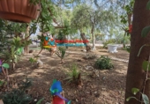 Casa de campo con terreno en venta en Águilas ref: TR75294 foto