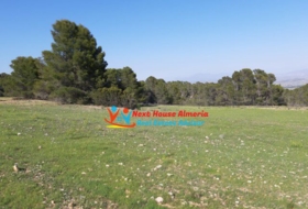Lorca 39795&nbsp;m²