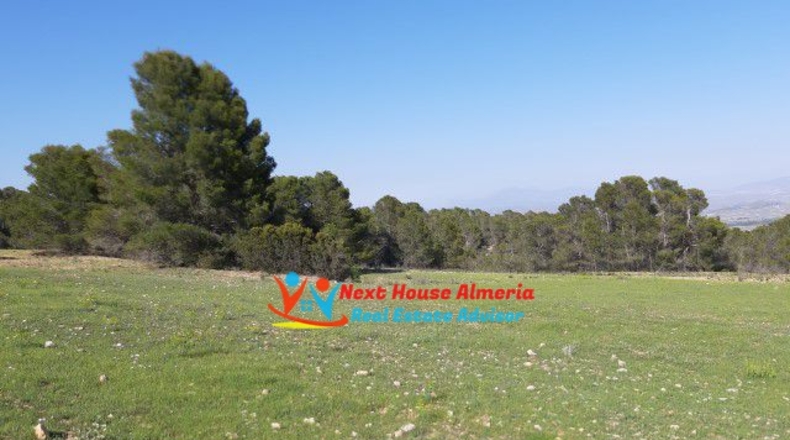 Múrcia - Lorca - 39795m2
