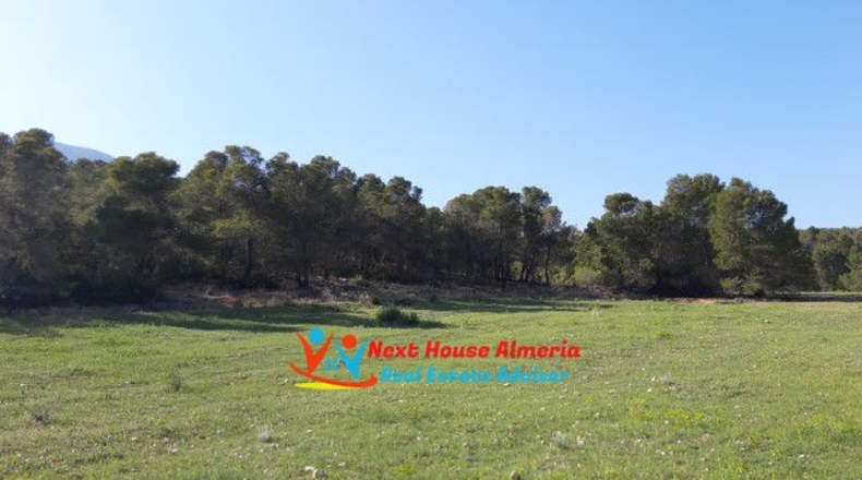 Múrcia - Lorca - 39795m2