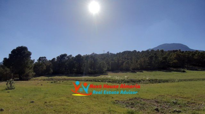 Múrcia - Lorca - 39795m2