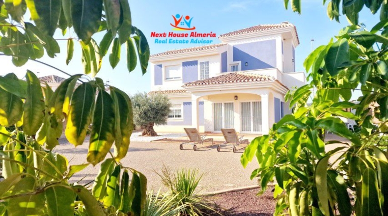Murcia - Lorca - 531m2