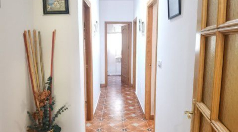 Almería - Albox - 60866m2