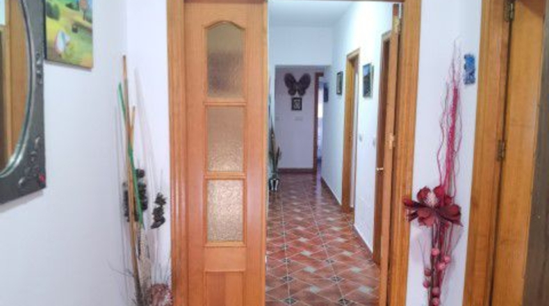 Almería - Albox - 60866m2