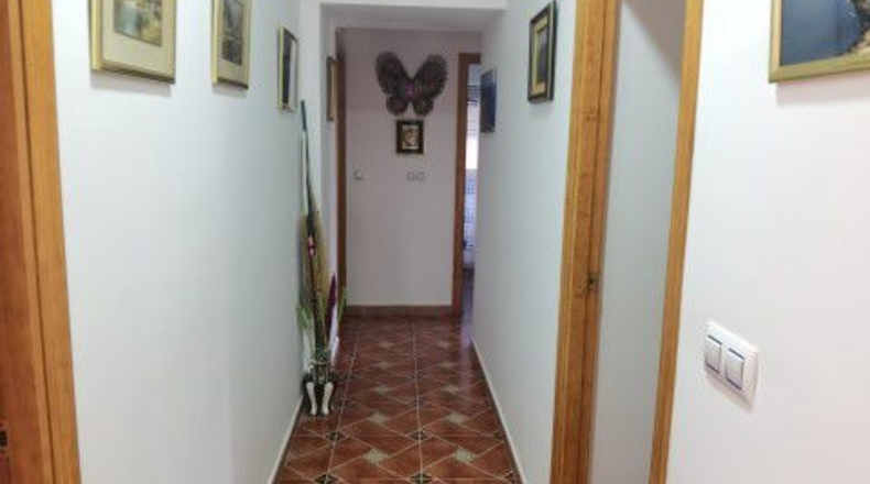 Almería - Albox - 60866m2