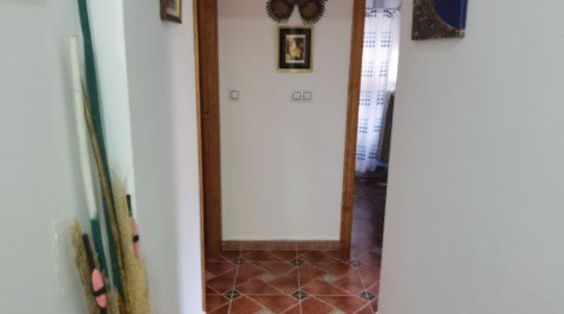Almería - Albox - 60866m2