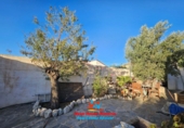 Casa de camp amb terreny en venda a Arboleas ref.: TR107276 foto