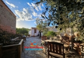 Casa de camp amb terreny en venda a Arboleas ref.: TR107276 foto