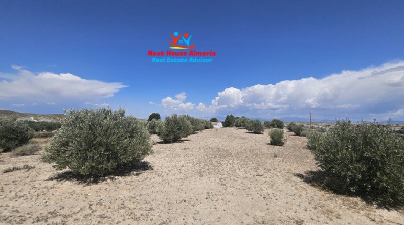 Granada - El Margen - 2147m2