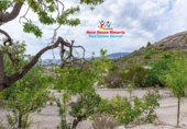 Country house with land for sale in Vélez-Blanco ref: TR187056 photo