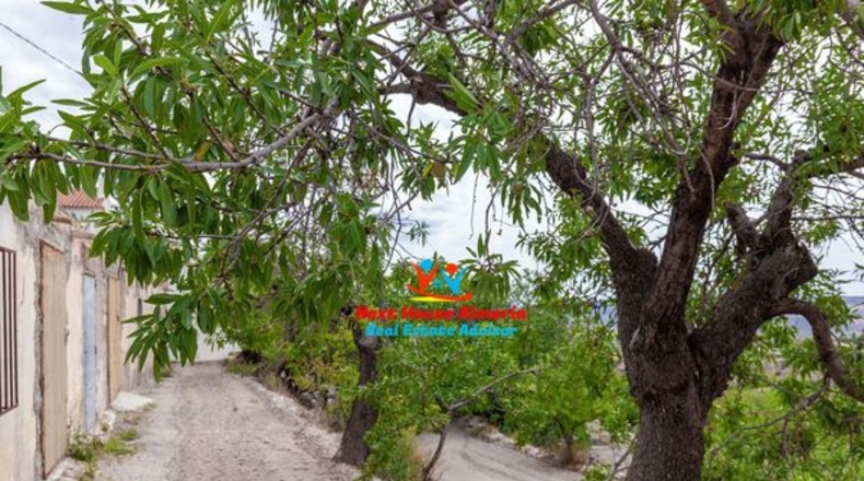 Almeria - Topares - 9659m2