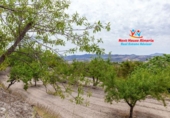 Country house with land for sale in Vélez-Blanco ref: TR187056 photo