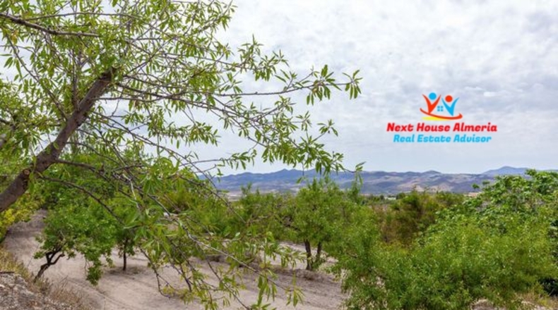 Almeria - Topares - 9659m2