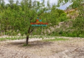 Country house with land for sale in Vélez-Blanco ref: TR187056 photo