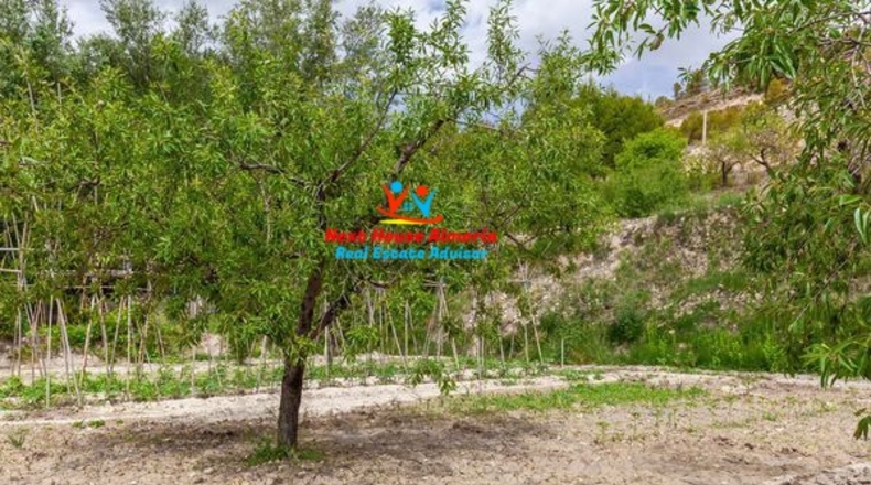 Almeria - Topares - 9659m2
