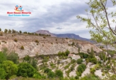 Country house with land for sale in Vélez-Blanco ref: TR187056 photo