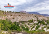 Country house with land for sale in Vélez-Blanco ref: TR187056 photo