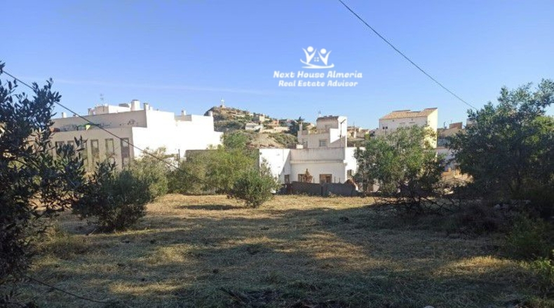 Almería - Albox - 1482m2