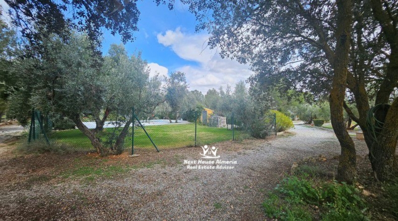 Jaén - Pozo Alcón - 7980m2