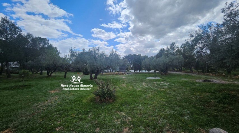 Jaén - Pozo Alcón - 7980m2