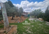 Casa de camp amb terreny en venda a Pozo Alcón ref.: TR254300 foto