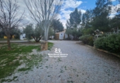 Casa de camp amb terreny en venda a Pozo Alcón ref.: TR254300 foto