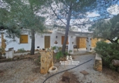 Casa de camp amb terreny en venda a Pozo Alcón ref.: TR254300 foto
