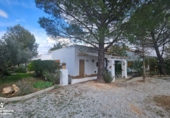 Casa de camp amb terreny en venda a Pozo Alcón ref.: TR254300 foto