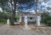 Casa de camp amb terreny en venda a Pozo Alcón ref.: TR254300 foto