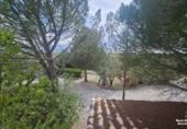 Casa de camp amb terreny en venda a Pozo Alcón ref.: TR254300 foto