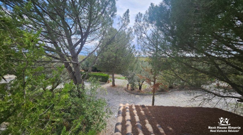 Jaén - Pozo Alcón - 7980m2