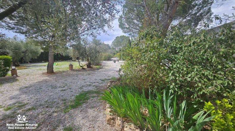 Jaén - Pozo Alcón - 7980m2