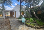 Casa de camp amb terreny en venda a Pozo Alcón ref.: TR254300 foto