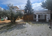 Casa de camp amb terreny en venda a Pozo Alcón ref.: TR254300 foto