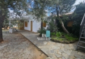 Casa de camp amb terreny en venda a Pozo Alcón ref.: TR254300 foto