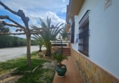 Casa de camp amb terreny en venda a Pozo Alcón ref.: TR254300 foto